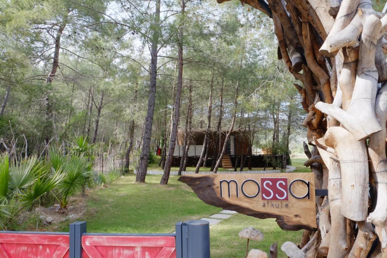 Mossa Afkule Kayakoey Hotel Fethiye Exterior foto