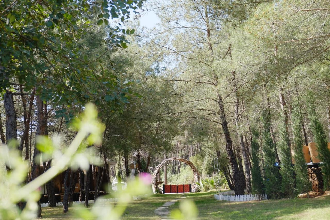 Mossa Afkule Kayakoey Hotel Fethiye Exterior foto